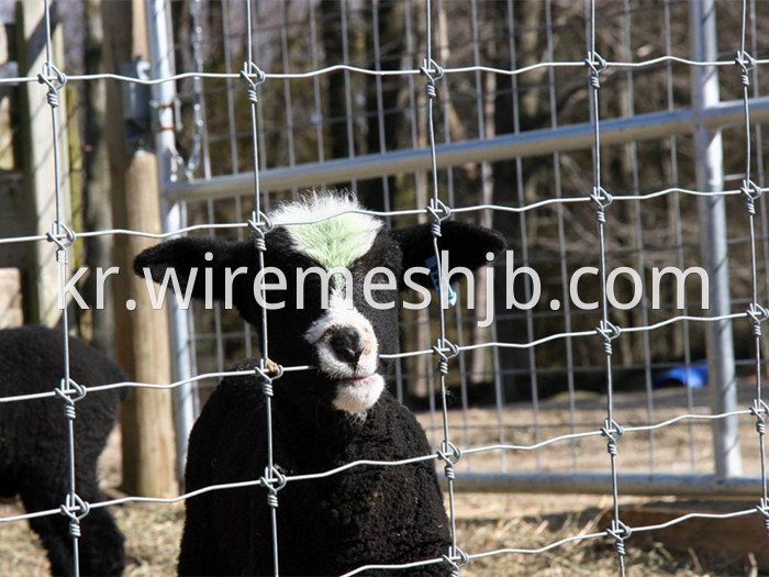 Galvanized Woven Field Fence